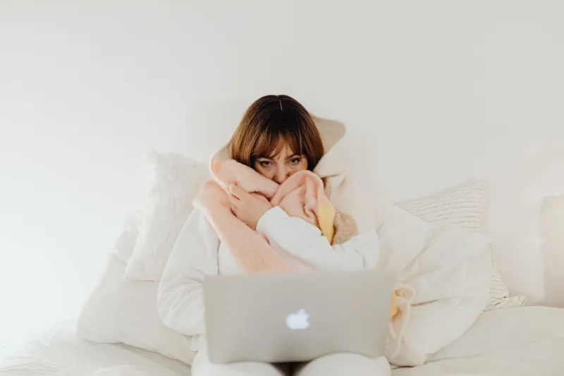 Soft Landing: Why the Internet Has Collectively Decided to Wrap Itself in a Blanket